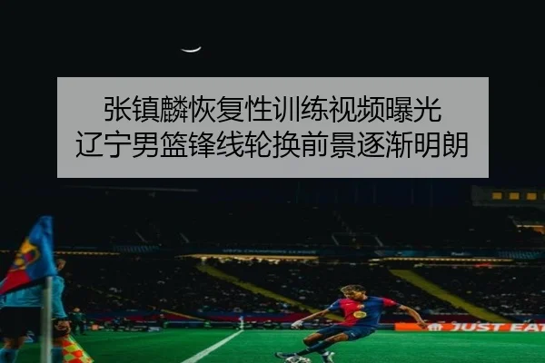 张镇麟恢复性训练视频曝光 辽宁男篮锋线轮换前景逐渐明朗